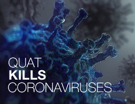 Quat Sanitizer Kills Coronavirus